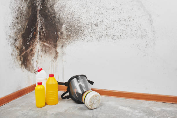 Best Industrial Mold Remediation in Benbrook, TX