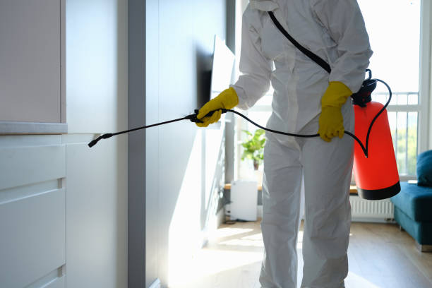 Best Residential Mold Remediation in Benbrook, TX