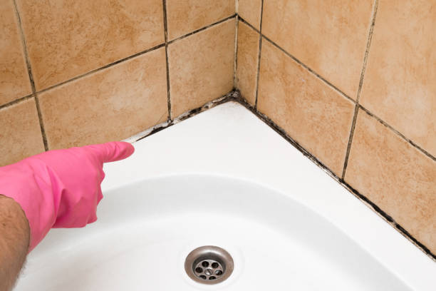 Best Mold Testing and Inspection Services in Benbrook, TX